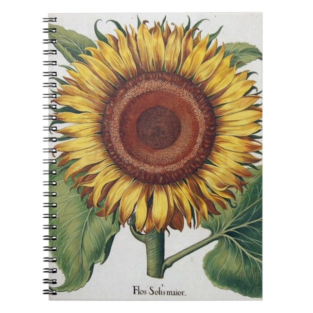 Carnet Art de fleur de damas vintage tournesol (Devant)