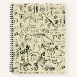 Carnet Art de fossiles d'os de dinosaures vintage