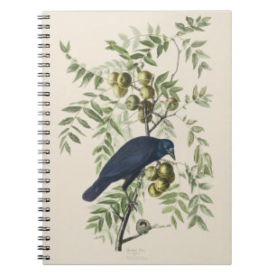 Carnet Art de la nature de corbeau américain Audubon vint