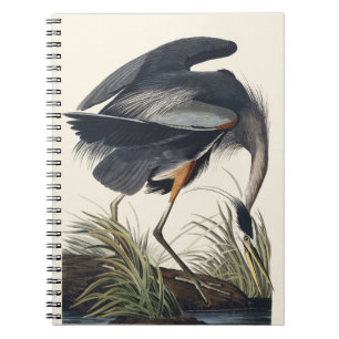 Carnet Art de la nature de Héron bleu de Audubon vintage