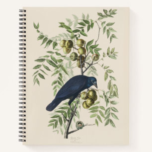 Carnet Art de la nature de la corneille américaine Audubo