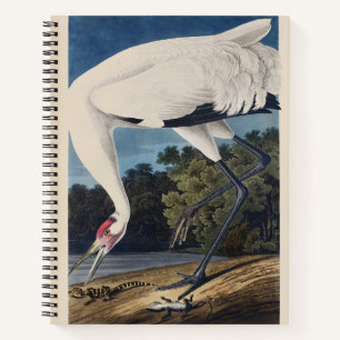 Carnet Art de la nature sur l'oiseau Grue de Whooping Aud