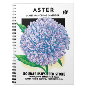 Carnet Art de pochette de graines vintage, fleurs d'aster