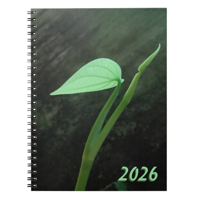 CARNET ART FLEURIER NATURE POUR CADEAU 2026 (Devant)