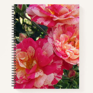 Carnet Art Floral Rose rayé rose et blanc