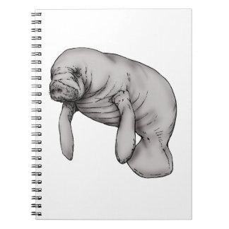 Carnet art manatee