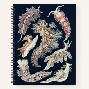 Carnet Art océanique vintage de Nudibranche de Haeckel