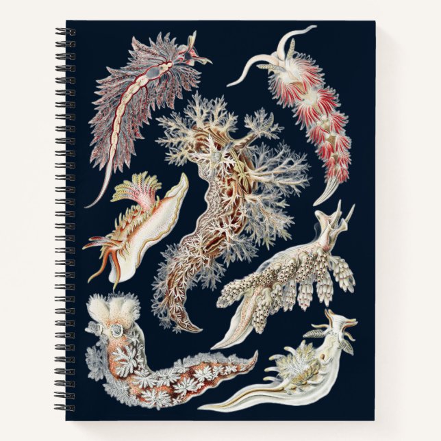 Carnet Art océanique vintage de Nudibranche de Haeckel (Devant)