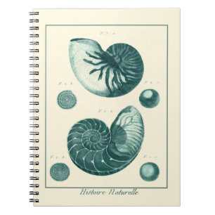 Carnet Art rouge et vert de coquillage