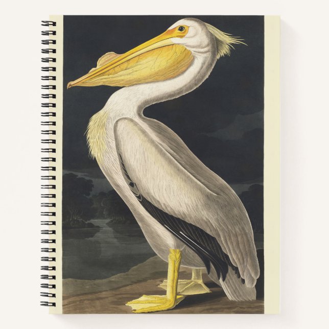 Carnet Art vintage d'Audubon représentant le Pélican blan (Devant)