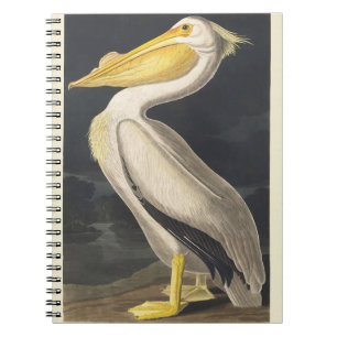 Carnet Art Vintage d'Audubon représentant le Pélican blan