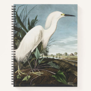 Carnet Art vintage d'Audubon représentant un héron neigeu