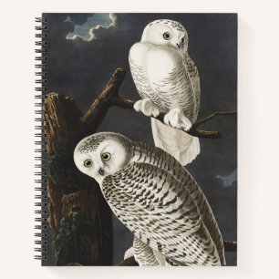 Carnet Art vintage de l'aigle de neige nocturne d'Audubon