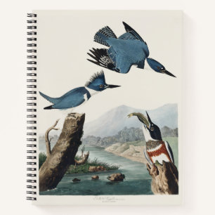 Carnet Art vintage de l'Alcedo ceinturé d'Audubon