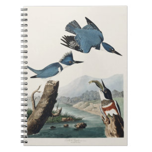 Carnet Art vintage d'oiseau martin-pêcheur à ceinture d'A