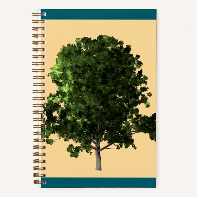 Carnet Ash Tree (Recto)