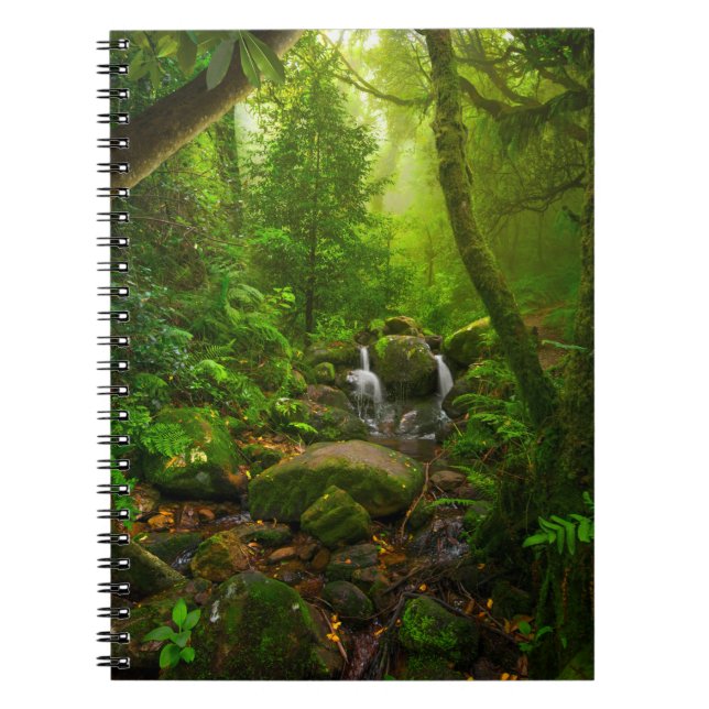 Carnet Asiatique tropicale jungle forestière, forêt, envi (Devant)