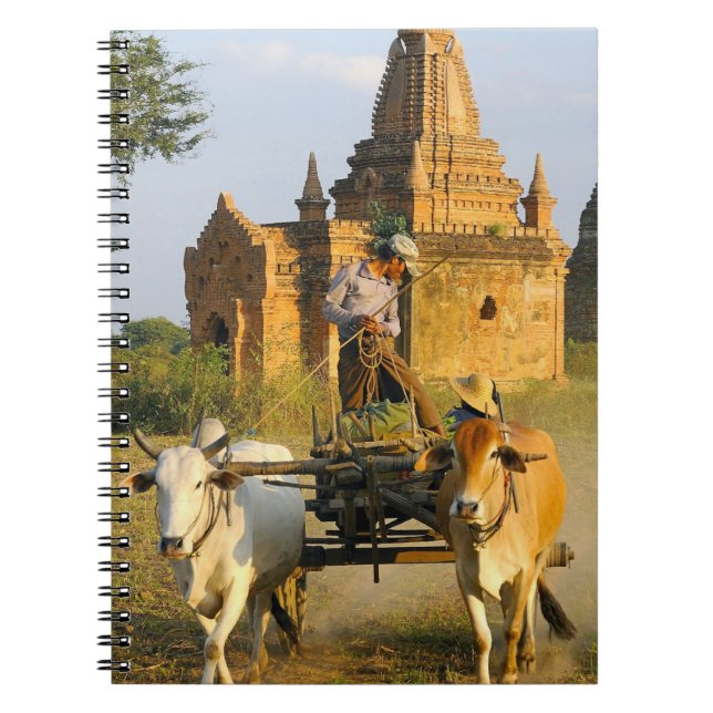 Carnet Asie, Myanmar (Birmanie), Bagan (Pagan). Un chario (Devant)
