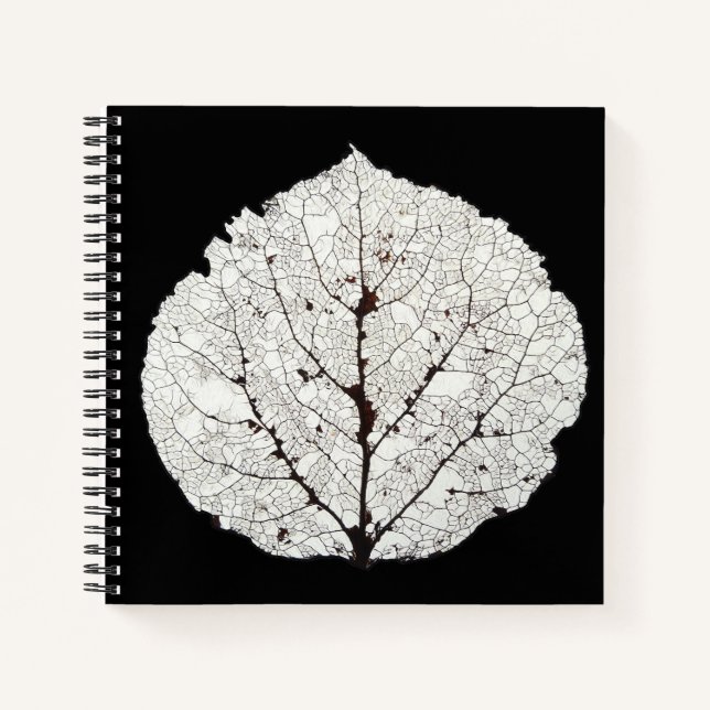 Carnet Aspen Feuille Squelette 1 (Devant)