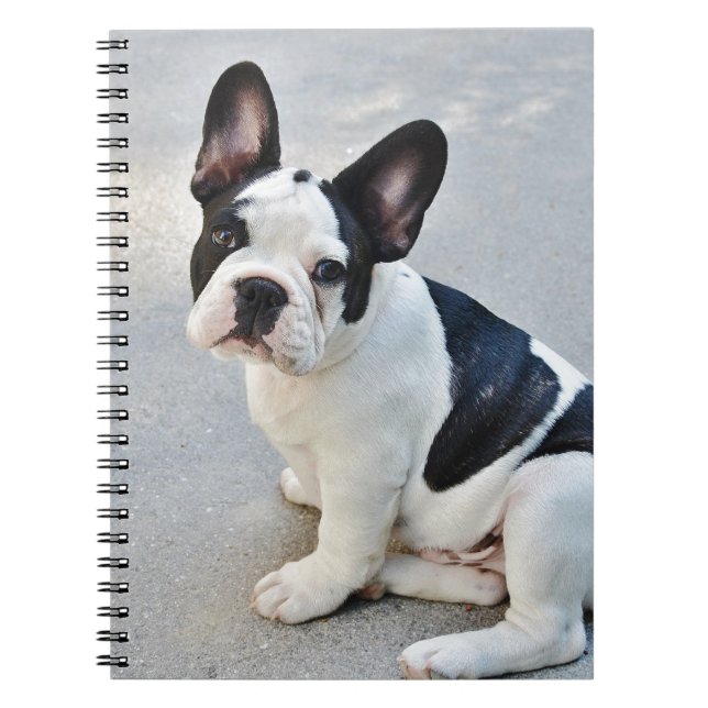 Carnet assise (Devant)