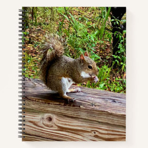 Carnet Attaque de Gourmandise