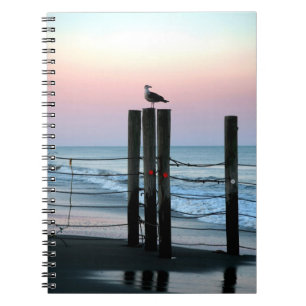 Carnet Attente Du Coucher Du Soleil