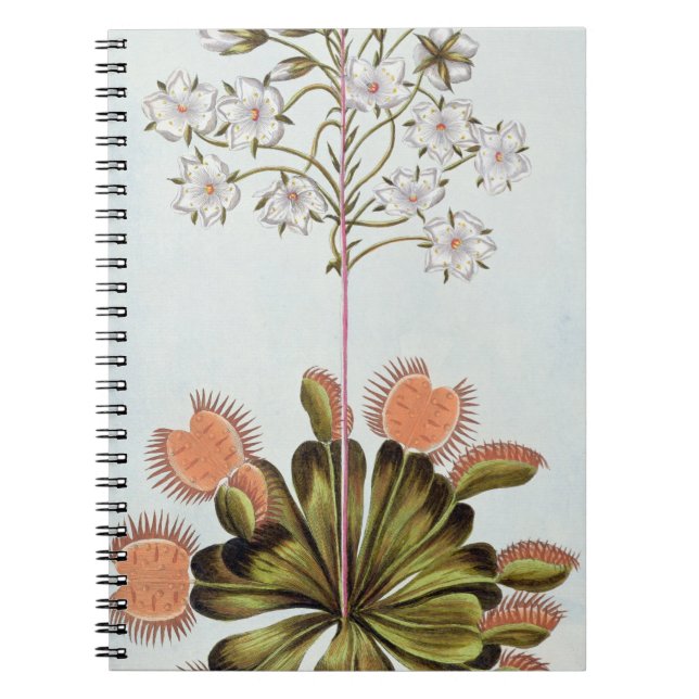 Carnet Attrape-mouche de Vénus, plat 84, de 'collection (Devant)