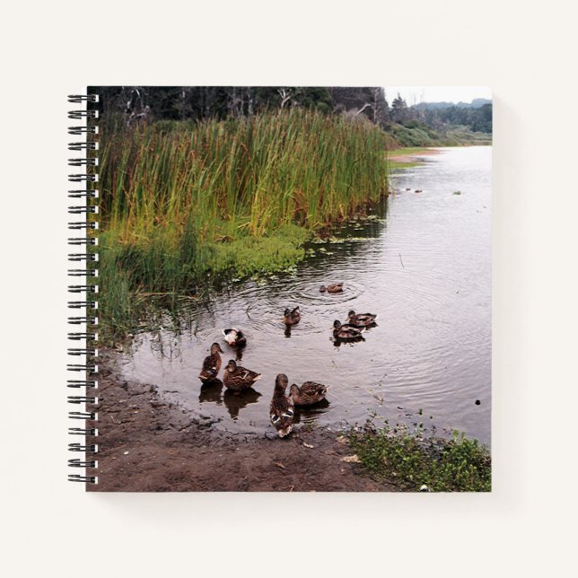 Carnet Au marais.... (Devant)