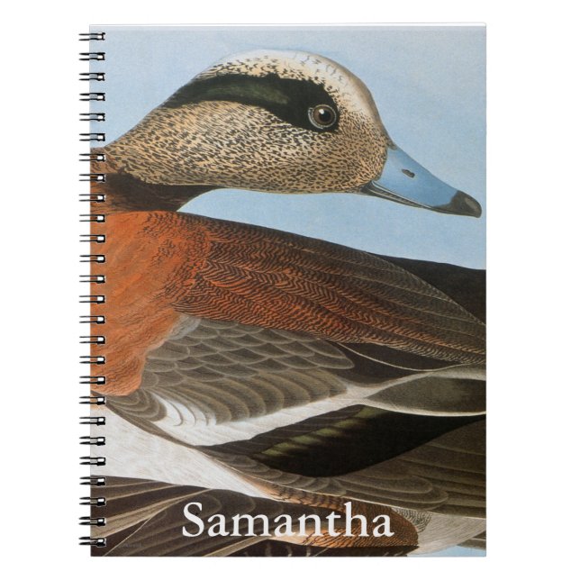 Carnet Audubon : Canard siffleur (Devant)