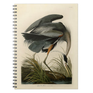 Carnet Audubon Great Blue Heron Marsh Bird