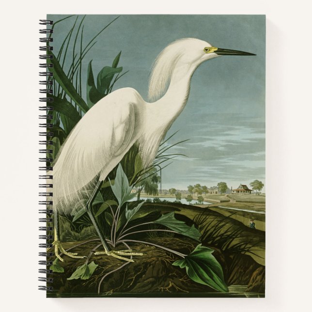 Carnet Audubon Héron de neige Oiseaux d'aigrettes blanche (Devant)