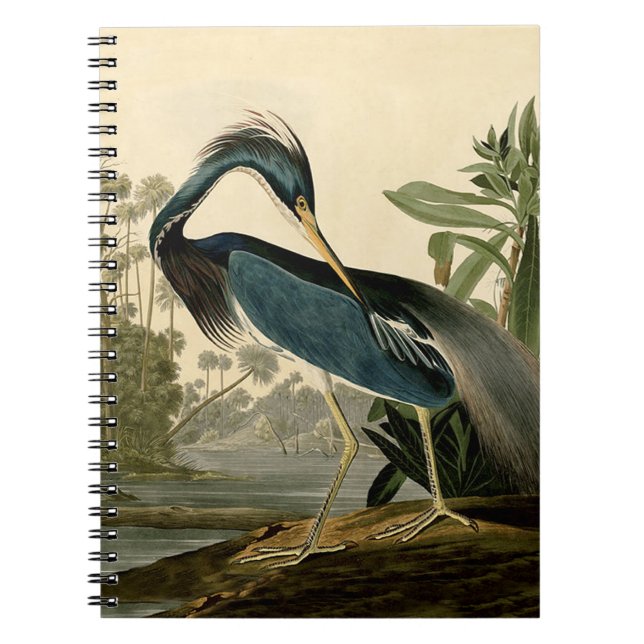 Carnet Audubon Louisiana Heron Birds America Art (Devant)