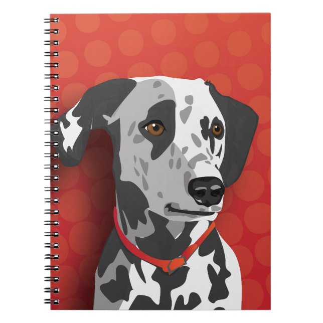 Carnet Augie la Dalmatienne (Devant)
