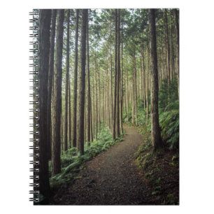 Carnet Augmentant dans les montagnes   Wakayama, le Japon