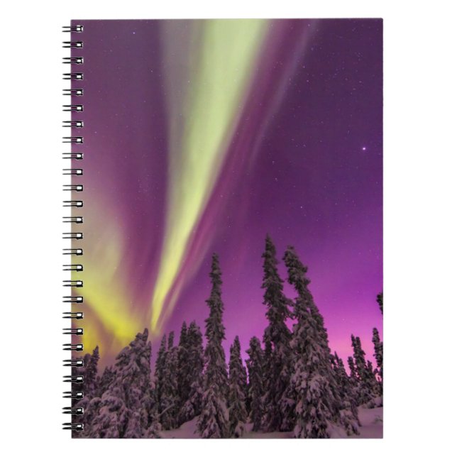 Carnet Aurora Borealis Northern Lights Fairbanks Alaska (Devant)