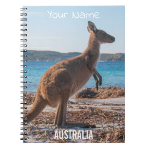 Carnet Australie Kangaroo sur la plage Photo