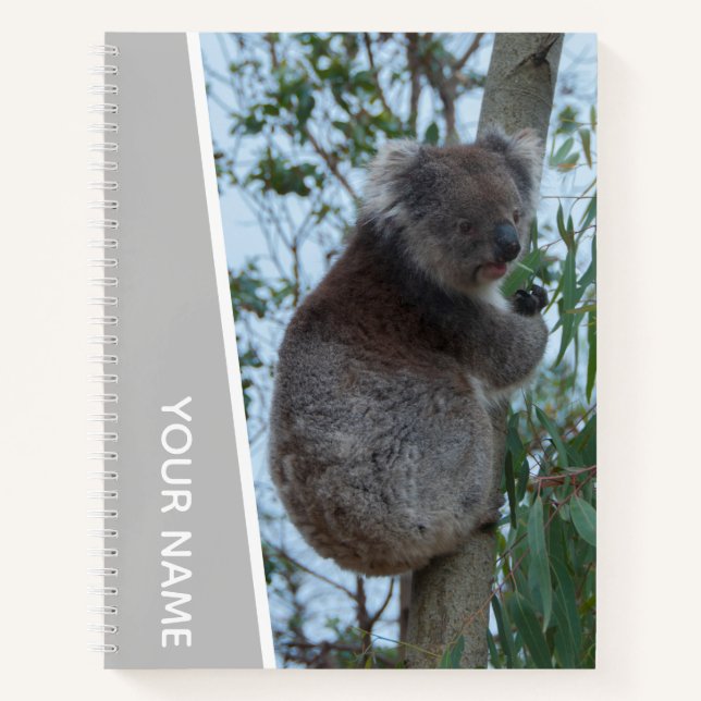 Carnet Australie Koala dans un arbre à eucalyptus, Argent (Devant)