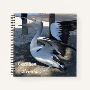 Carnet Australie ; Pélican - Voyage