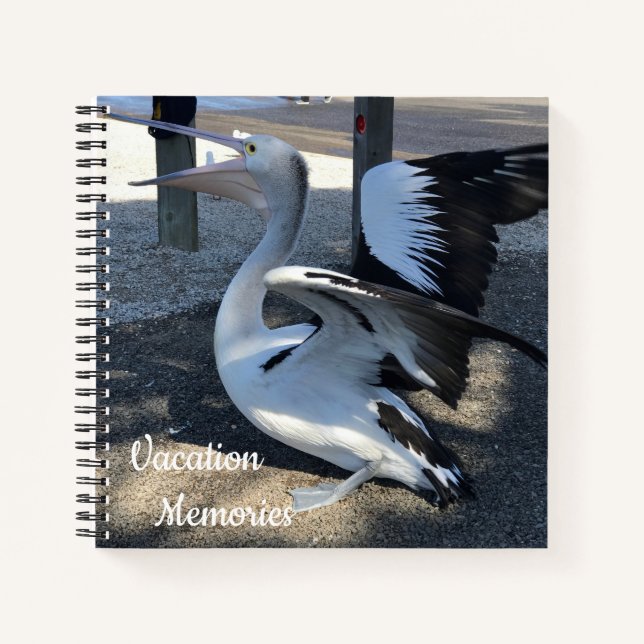 Carnet Australie ; Pélican - Voyage (Devant)