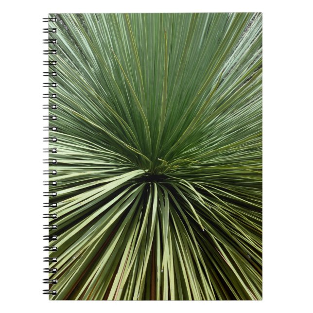 Carnet Australien Plante - abstrait (Devant)