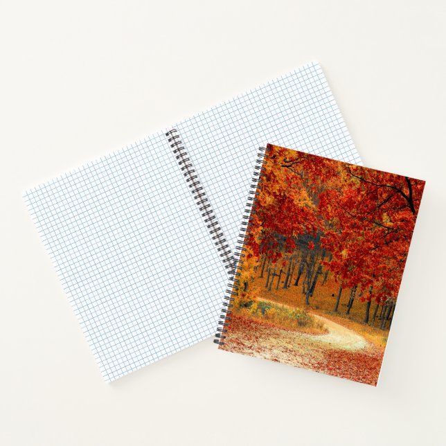 Carnet automne dans la forêt (Intérieur)
