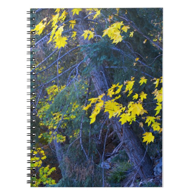 Carnet Automne dans les montagnes 6 (Devant)