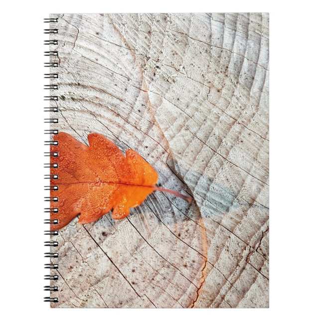 Carnet automne feuilles de chêne (Devant)