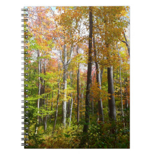 Carnet Automne Forêt I Automne Paysage Photographie