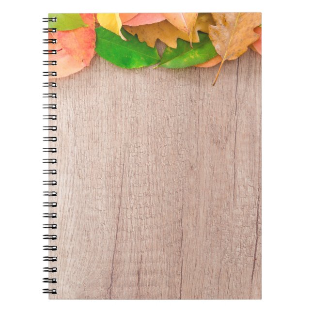 Carnet Automne orange nature rouge jaune (Devant)