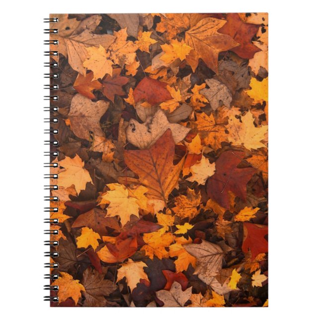 Carnet Autum Feuille (Devant)