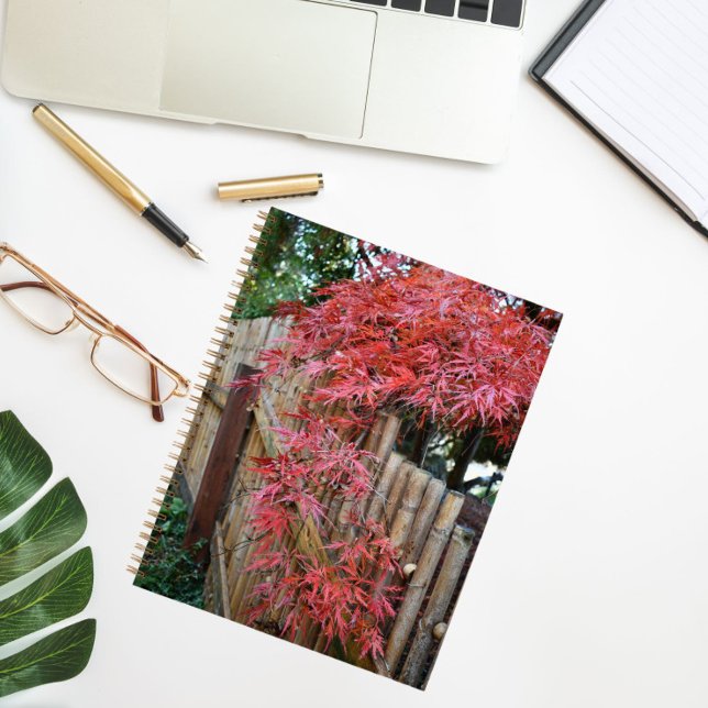Carnet Autumn Japanese Maple Leaves and Bamboo Fence (In Situ)