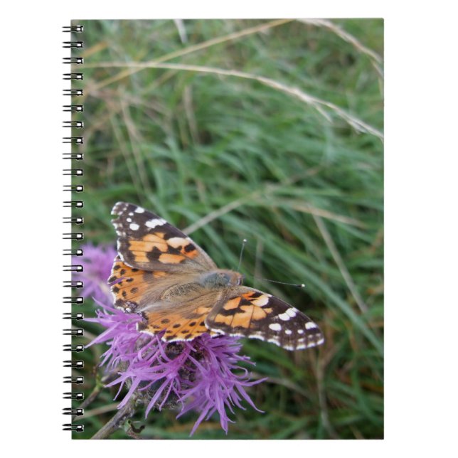 Carnet aux papillons orange (Devant)