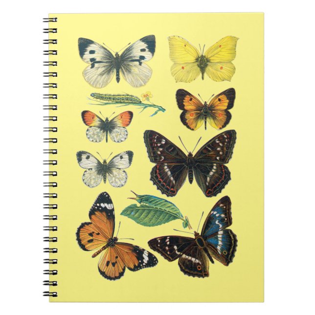 Carnet aux papillons régi par l'université (Devant)
