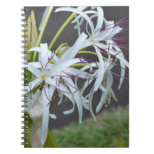 Carnet aux parfums floraux